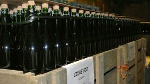Bouteilles à la cave de Cidre Cotentin AOC Hérout