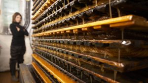 Le pressoir à pommes en fonctionnement